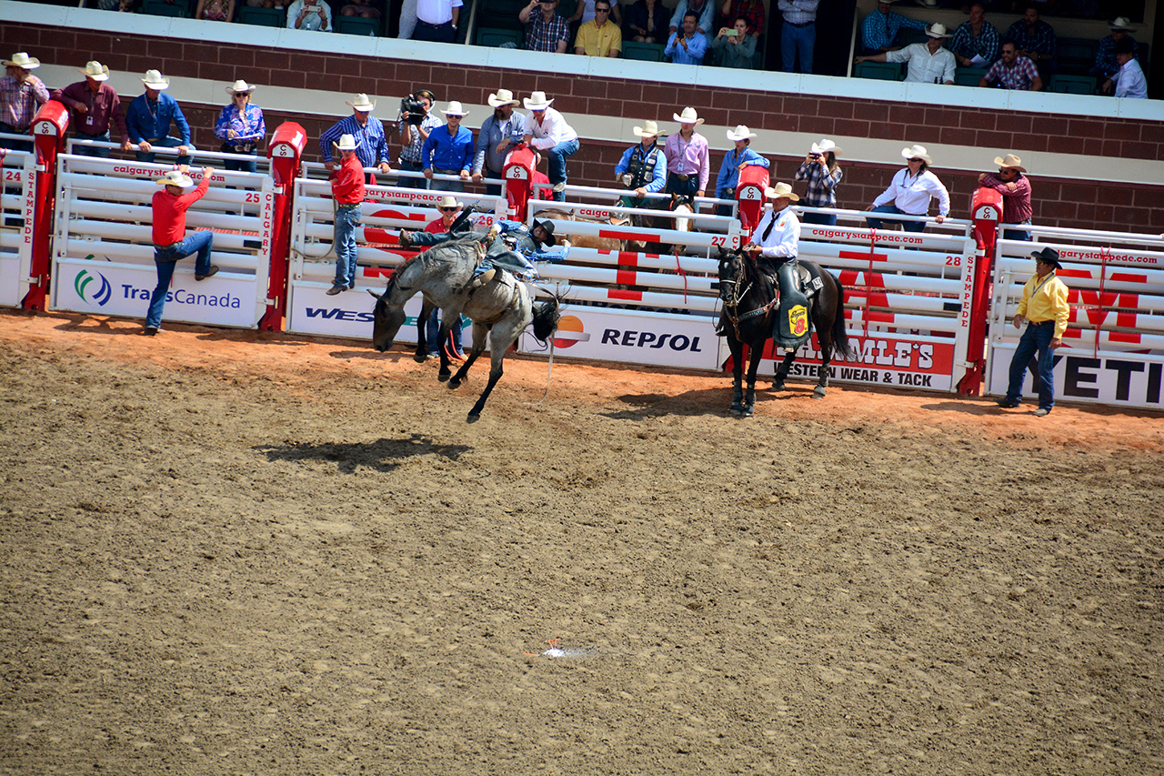 2017-07-10, 225, Calgary Stampede, AB, Bareback Bronco Riding