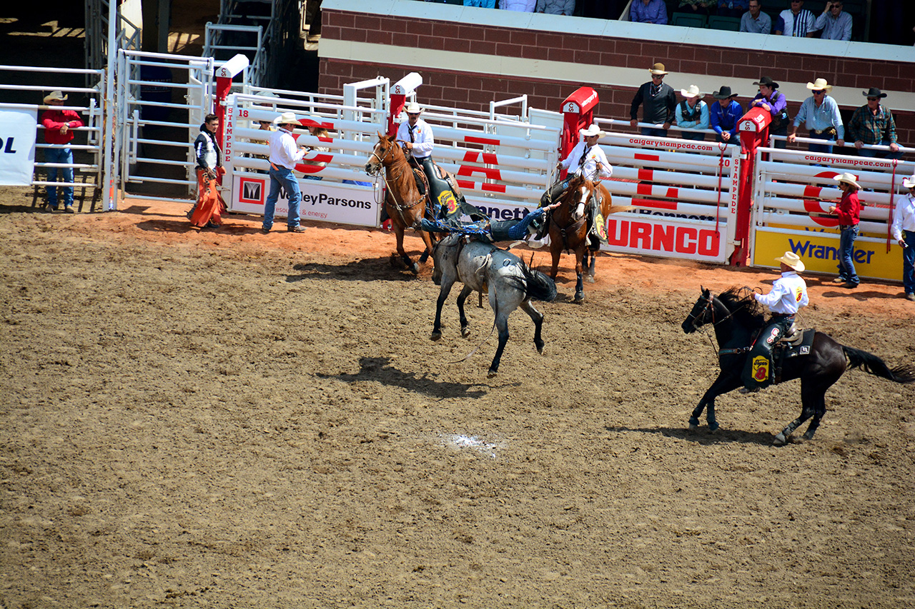 2017-07-10, 227, Calgary Stampede, AB, Bareback Bronco Riding