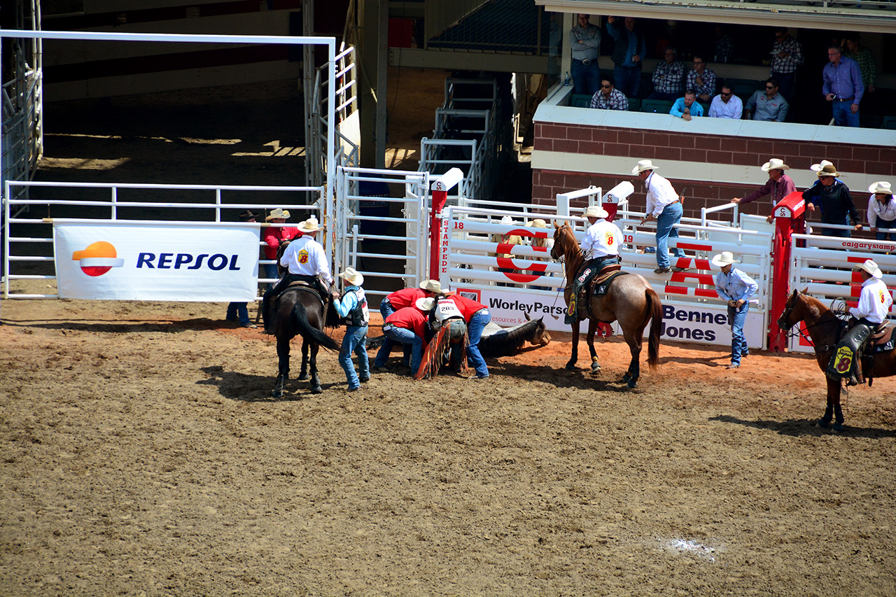 2017-07-10, 230, Calgary Stampede, AB, Bareback Bronco Riding