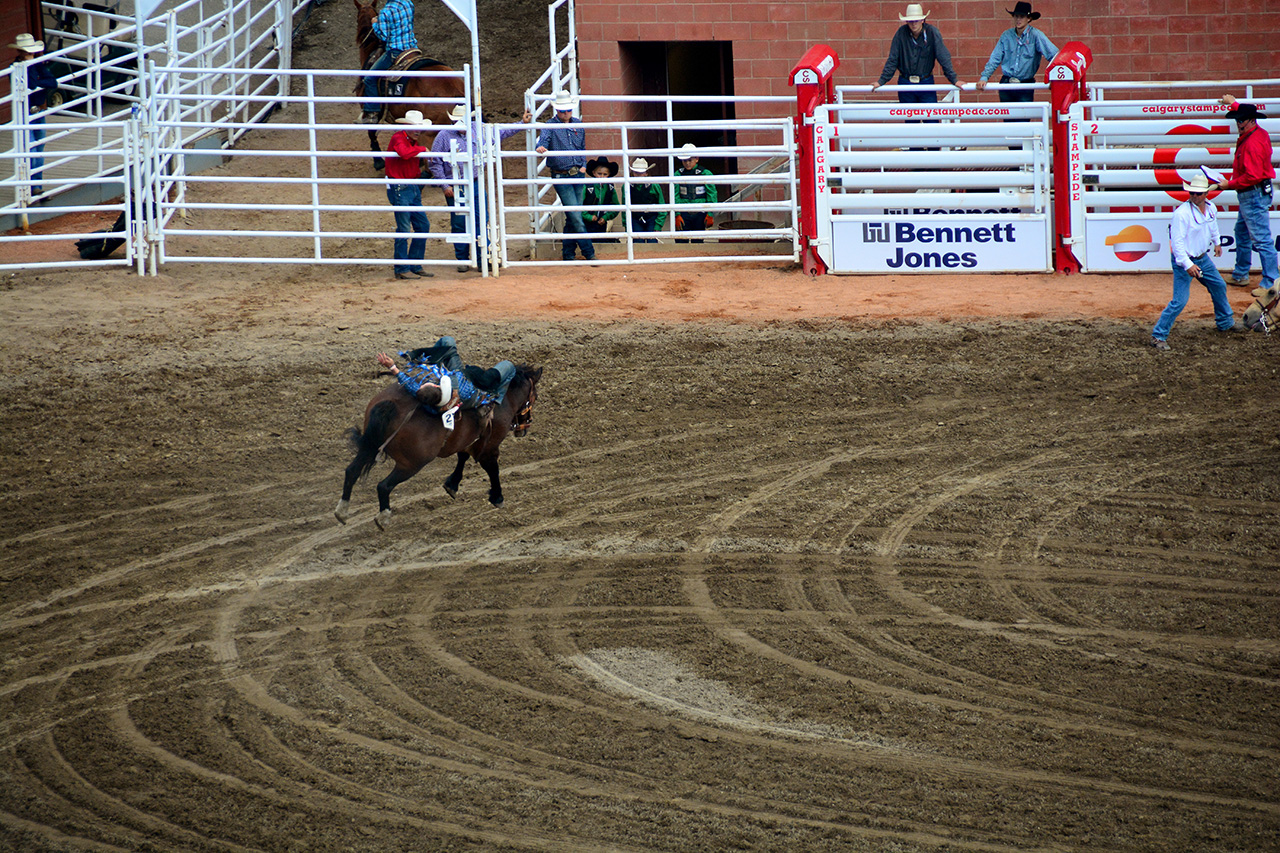 2017-07-10, 244, Calgary Stampede, AB, Bareback Bronco Riding