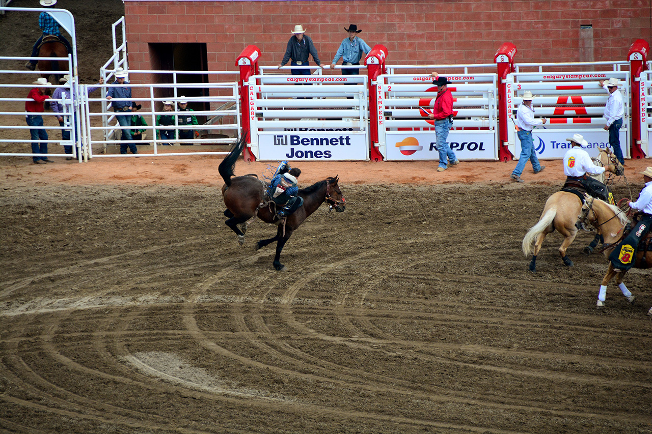 2017-07-10, 245, Calgary Stampede, AB, Bareback Bronco Riding