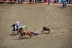 2017-07-10, 125, Calgary Stampede, AB, Steer Wrestling