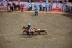 2017-07-10, 129, Calgary Stampede, AB, Steer Wrestling