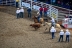 2017-07-10, 132, Calgary Stampede, AB, Steer Wrestling