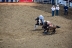 2017-07-10, 137, Calgary Stampede, AB, Steer Wrestling