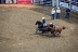 2017-07-10, 141, Calgary Stampede, AB, Steer Wrestling