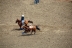 2017-07-10, 153, Calgary Stampede, AB, Steer Wrestling