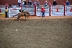 2017-07-10, 156, Calgary Stampede, AB, Bareback Bronco Riding