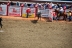 2017-07-10, 181, Calgary Stampede, AB, Bareback Bronco Riding