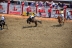 2017-07-10, 183, Calgary Stampede, AB, Bareback Bronco Riding