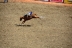 2017-07-10, 187, Calgary Stampede, AB, Bareback Bronco Riding