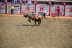 2017-07-10, 206, Calgary Stampede, AB, Bareback Bronco Riding