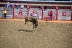 2017-07-10, 207, Calgary Stampede, AB, Bareback Bronco Riding