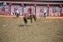 2017-07-10, 211, Calgary Stampede, AB, Bareback Bronco Riding