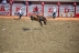 2017-07-10, 212, Calgary Stampede, AB, Bareback Bronco Riding