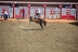 2017-07-10, 213, Calgary Stampede, AB, Bareback Bronco Riding