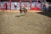 2017-07-10, 214, Calgary Stampede, AB, Bareback Bronco Riding