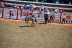 2017-07-10, 224, Calgary Stampede, AB, Bareback Bronco Riding