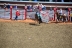 2017-07-10, 233, Calgary Stampede, AB, Bareback Bronco Riding