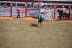 2017-07-10, 234, Calgary Stampede, AB, Bareback Bronco Riding