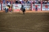 2017-07-10, 241, Calgary Stampede, AB, Bareback Bronco Riding