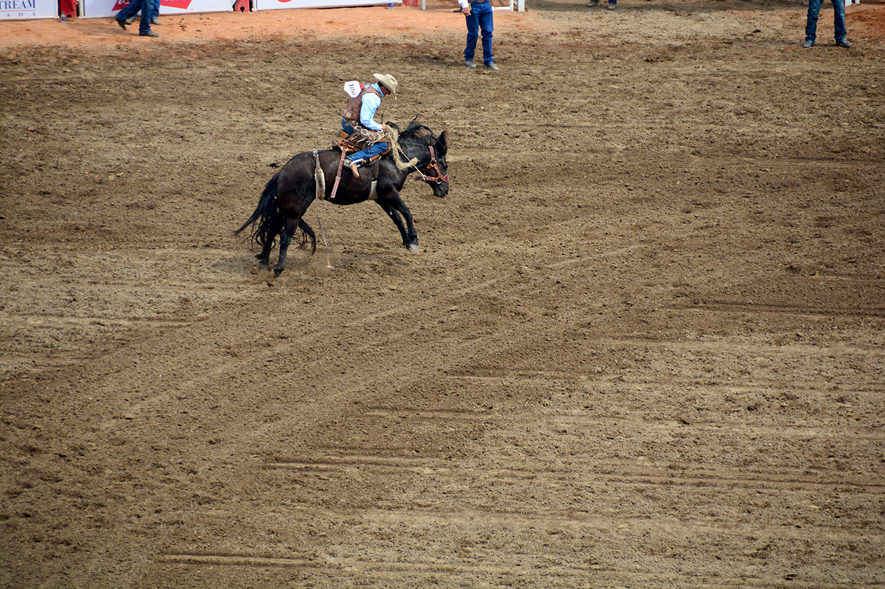 2017-07-10, 260, Calgary Stampede, AB, Saddled Bronco Riding