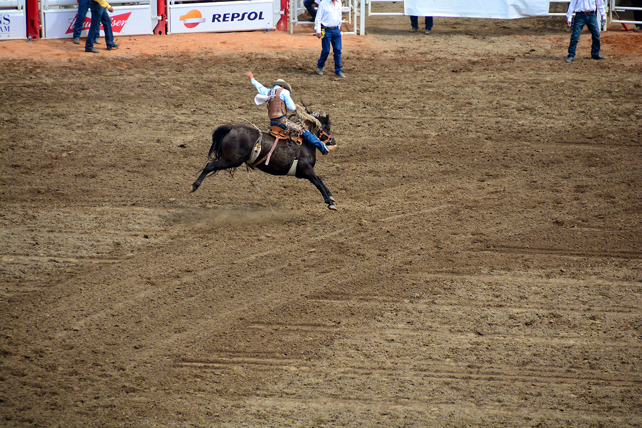 2017-07-10, 261, Calgary Stampede, AB, Saddled Bronco Riding