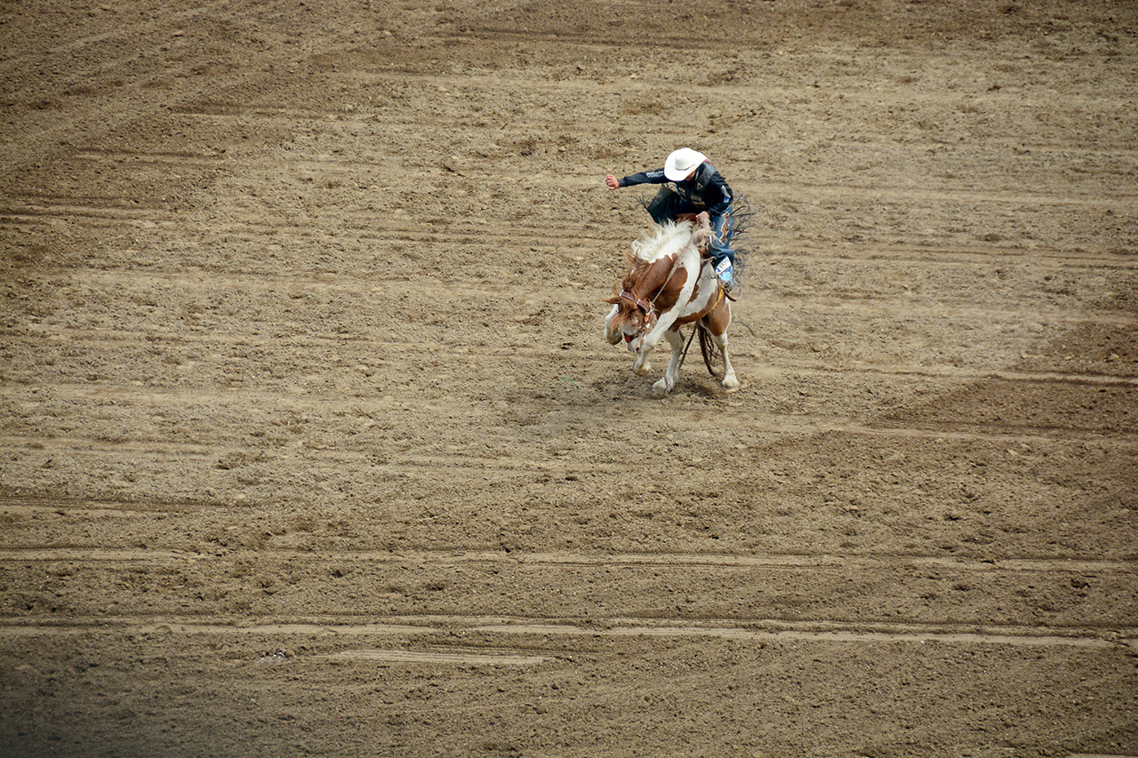 2017-07-10, 275, Calgary Stampede, AB, Saddled Bronco Riding