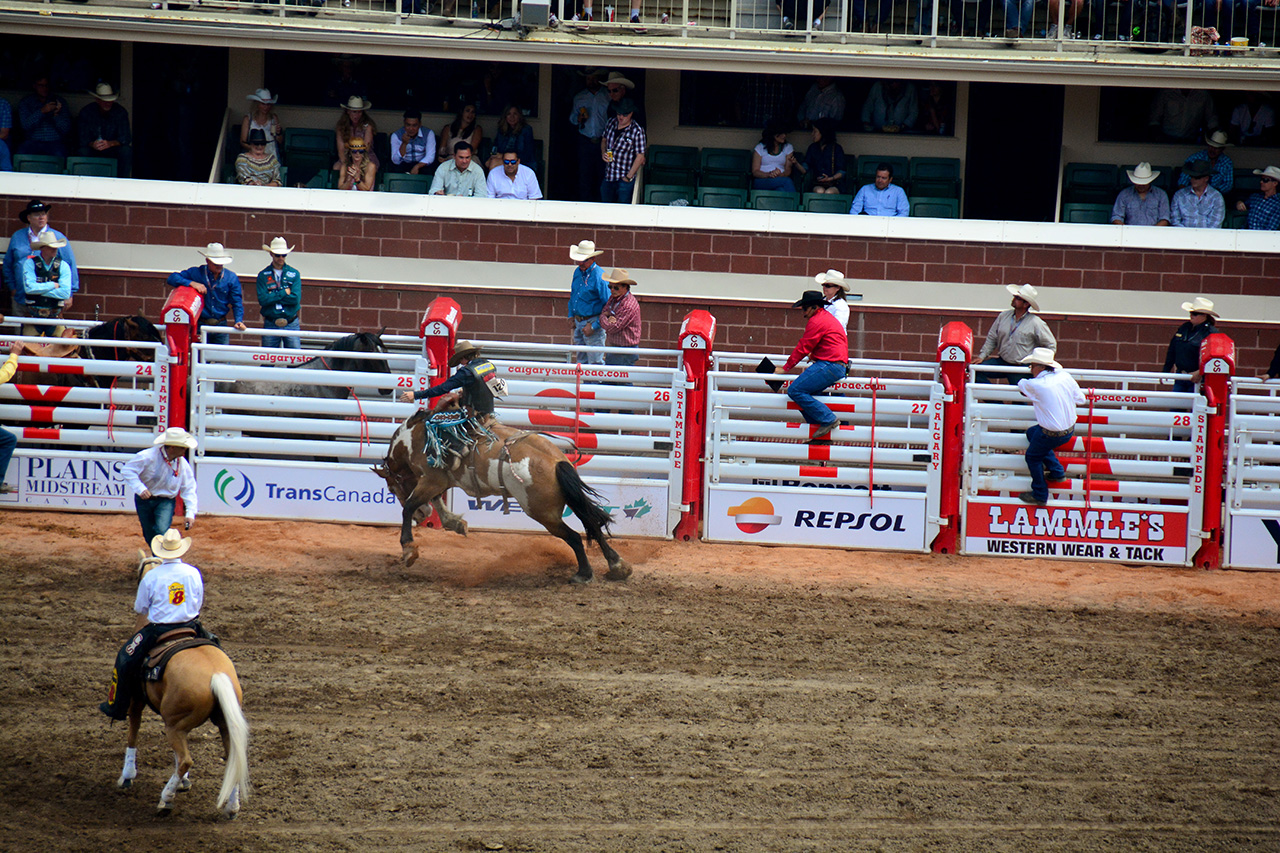 2017-07-10, 280, Calgary Stampede, AB, Saddled Bronco Riding