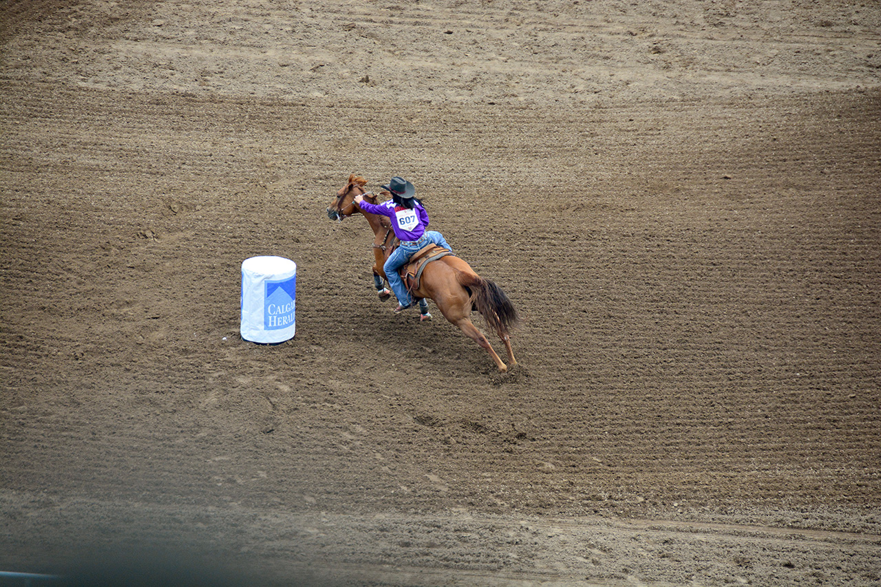 2017-07-10, 313, Calgary Stampede, AB, Barrel Racing