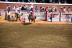 2017-07-10, 247, Calgary Stampede, AB, Saddled Bronco Riding