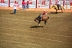 2017-07-10, 249, Calgary Stampede, AB, Saddled Bronco Riding