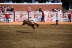 2017-07-10, 253, Calgary Stampede, AB, Saddled Bronco Riding