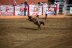 2017-07-10, 255, Calgary Stampede, AB, Saddled Bronco Riding