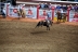 2017-07-10, 264, Calgary Stampede, AB, Saddled Bronco Riding