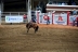 2017-07-10, 265, Calgary Stampede, AB, Saddled Bronco Riding