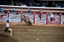 2017-07-10, 279, Calgary Stampede, AB, Saddled Bronco Riding