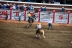 2017-07-10, 283, Calgary Stampede, AB, Saddled Bronco Riding