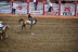 2017-07-10, 285, Calgary Stampede, AB, Saddled Bronco Riding