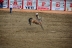 2017-07-10, 287, Calgary Stampede, AB, Saddled Bronco Riding