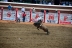 2017-07-10, 289, Calgary Stampede, AB, Saddled Bronco Riding