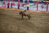 2017-07-10, 290, Calgary Stampede, AB, Saddled Bronco Riding