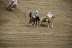 2017-07-10, 295, Calgary Stampede, AB, Saddled Bronco Riding