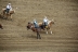 2017-07-10, 296, Calgary Stampede, AB, Saddled Bronco Riding