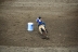 2017-07-10, 331, Calgary Stampede, AB, Barrel Racing