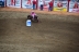 2017-07-10, 344, Calgary Stampede, AB, Barrel Racing