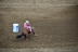 2017-07-10, 348, Calgary Stampede, AB, Barrel Racing