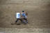 2017-07-10, 359, Calgary Stampede, AB, Barrel Racing