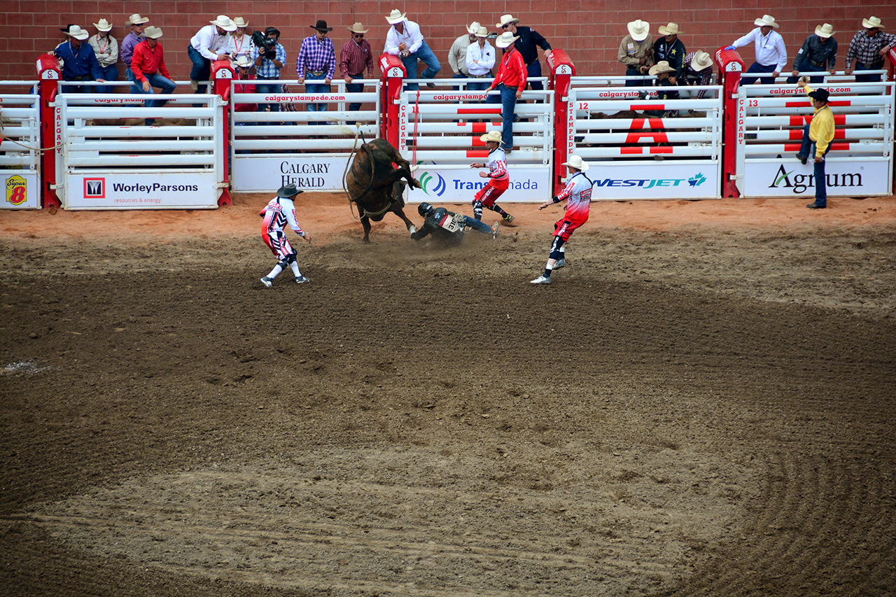 2017-07-10, 371, Calgary Stampede, AB, Bull Riding