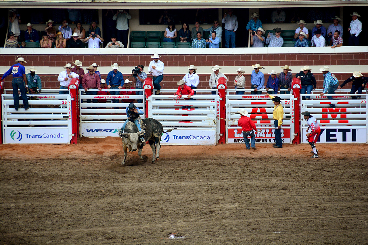 2017-07-10, 378, Calgary Stampede, AB, Bull Riding